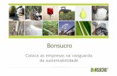 Seminário stab 2013   comum - 02. bonsucro - padrão internacional de sustentabilidade para cana-de-açúcar - daniel lobo (bonsucro)
