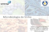 Microbiologia do Vinho