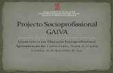 Apresentação Projecto Socioprofissional GAIVA