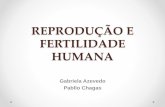 aula sobre Reprodução e fertilidade