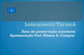Loteamento Tarumã, Apresentação Prof. Nilzete Alves Campos.