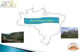 - Geografia -  Bases Físicas do Brasil