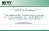 Regulação do Gás Natural: a expectativa de aumento da produção decorrente do Pré-Sal e das alternativas não convencionais