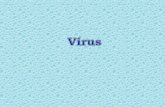 Tipos de vírus