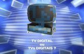 Palestra TV Digital ou TVs Digitais