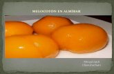 2B5. Melocoton en almíbar. Elias G, Mouad Z