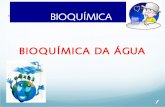 Bioquimica. agua