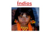 Descobrimento do Brasil e dos indios