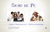 Projeto Gonzaga - Bicho de Pé