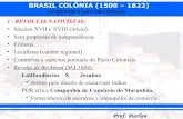 04. brasil aula sobre brasil colônia parte 4