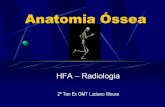 Anatomia óSsea