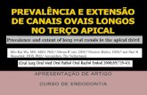 Prevalência e extensão de canais ovais longos  na Endodontia