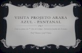 Fotos Projeto Arara Azul - Pantanal!