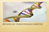 Métodos de Transformação Genética