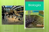 Biologia 11   sistemas de classificação