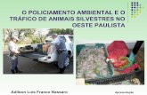 Policiamento ambiental e o tráfico de animais silvestres no oeste paulista  2012