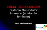 Biologia - sistema reprodutor humano (anatomia feminina)