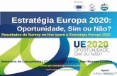 Survey on line sobre estrategia europa 2020 - seminário de 17 setembro