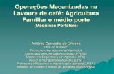 Operações mecanizadas na lavoura de café   agricultura familiar e médio porte - antônio donizette