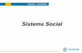 Aula 09  10 - sistema social