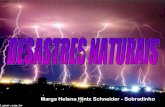 Desastres Naturais   Marga Helena Hintz Schneider