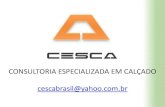 Cursos In Company CESCA Brasil Consultoria