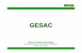 GESAC e TelecentrosBR - julho 2011
