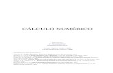 C. Bombardelli - Cálculo Numérico