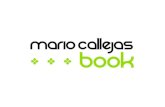 Book Mario Callejas 2010