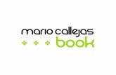 Book Mario Callejas 2009/10