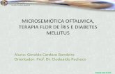 Clodoaldo Pacheco - Microsemeiótica oftálmica e diabetes