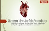 Sistema circulatório - Resumo