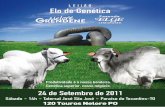 Catálogo Leilão Elo de Genética Nelore Grendene e Fazenda Elge