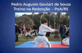 Pedro augusto goulart de souza   taekwondo