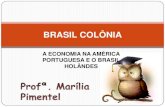 Brasil colônia   2º ano - economia inv.holandesa