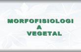 3  morfofisiologia vegetal.bio