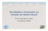 Resultados e Inovações na Seleção do Nelore Brasil