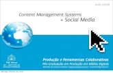 PUC/PFC -  CMS e Social Media