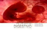 Ap. digestivo embriologia