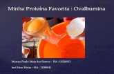 Proteína - Ovalbumina