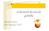 Colesterol Ovo Galinha