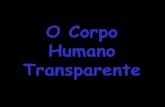 O Corpo Humano Transparente