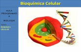 Bioquímica Celular - Aula Programada