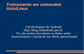 Treinamento de-comandos-unix-e-linux-1205757024667193-4