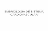 Embriologia de-sistema-cardiovascular