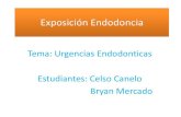 Urgencias endodonticas