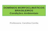 Domínios morfoclimáticos brasileiros condições ambientais