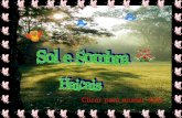 SOL E SOMBRA-HAICAIS