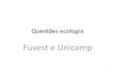 exercícios de ecologia -Fuvest e Unicamp