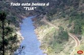 Linha do Tua-Douro